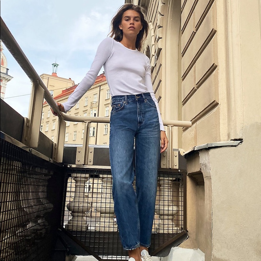 Aritzia Denim Forum The Gia High Rise Carrot 28L